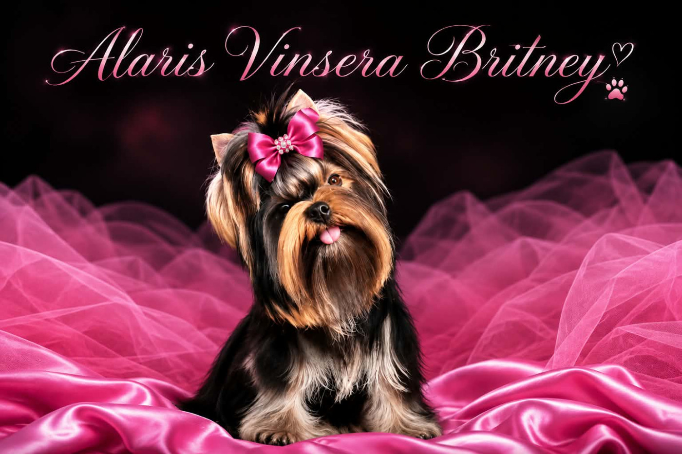 ALARIS VINSERA BRITNEY